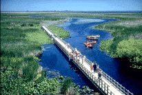 img0444-46.gif