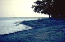 img0444-57.gif