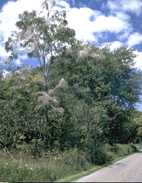 img3048-109.gif