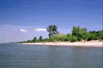natcul4.gif